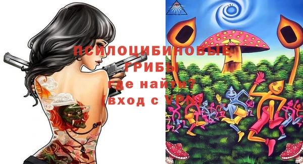 mdpv Бронницы