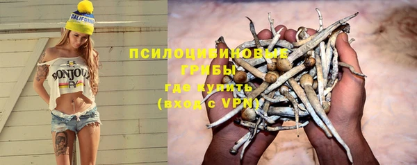mdpv Бронницы